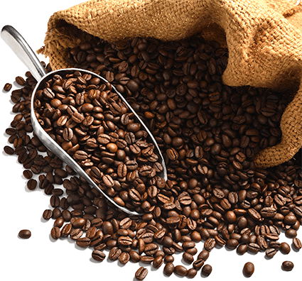 coffee-cup-coffee-beans-XL3CSQR2.png